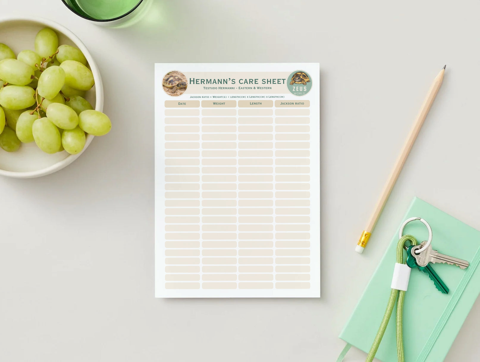 Tortoise Trackers & Log Sheets