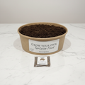 Clover | Grow Your Own Tortoise Food Kit | Tortoise Seeds & Organic Soil | Natural Grazing Kit