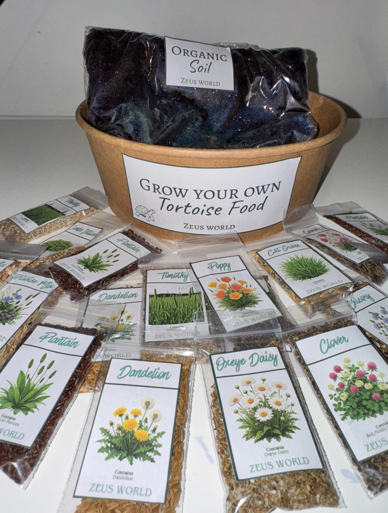 Lambs Lettuce | Grow Your Own Tortoise Food Kit | Tortoise Seeds & Organic Soil | Natural Grazing Kit