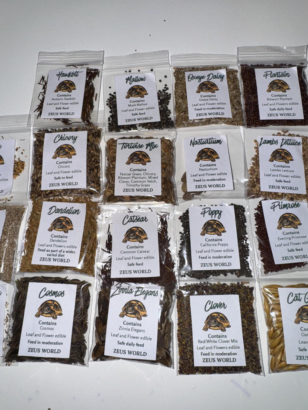 Timothy Seeds | Grow Your Own Tortoise Food | Tortoise Safe Seed Blend | Natural Reptile Diet