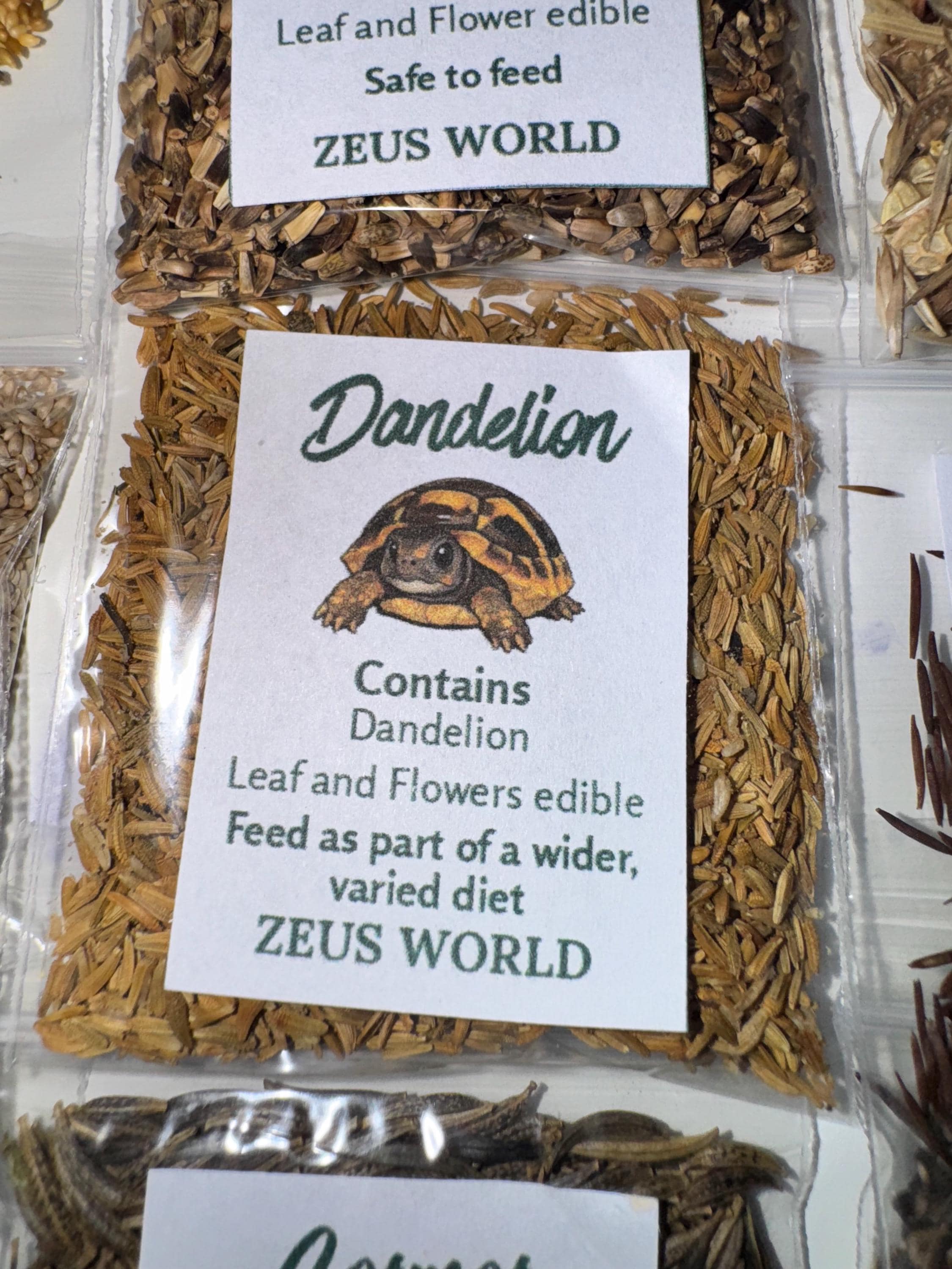 Dandelion | Grow Your Own Tortoise Food Kit | Tortoise Plantain Seeds & Organic Soil | Natural Grazing Kit