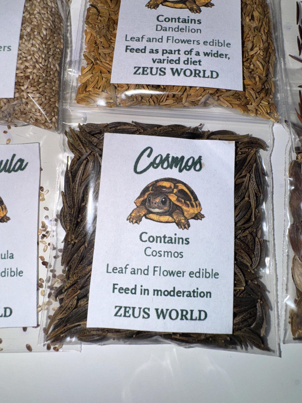 Cosmos Seeds | Grow Your Own Tortoise Food | Tortoise Safe Seed Blend | Natural Reptile Diet