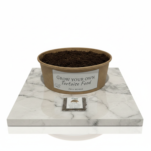 California Poppy | Grow Your Own Tortoise Food Kit | Tortoise Seeds & Organic Soil | Natural Grazing Kit