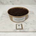 Oxeye Daisy | Grow Your Own Tortoise Food Kit | Tortoise Seeds & Organic Soil | Natural Grazing Kit