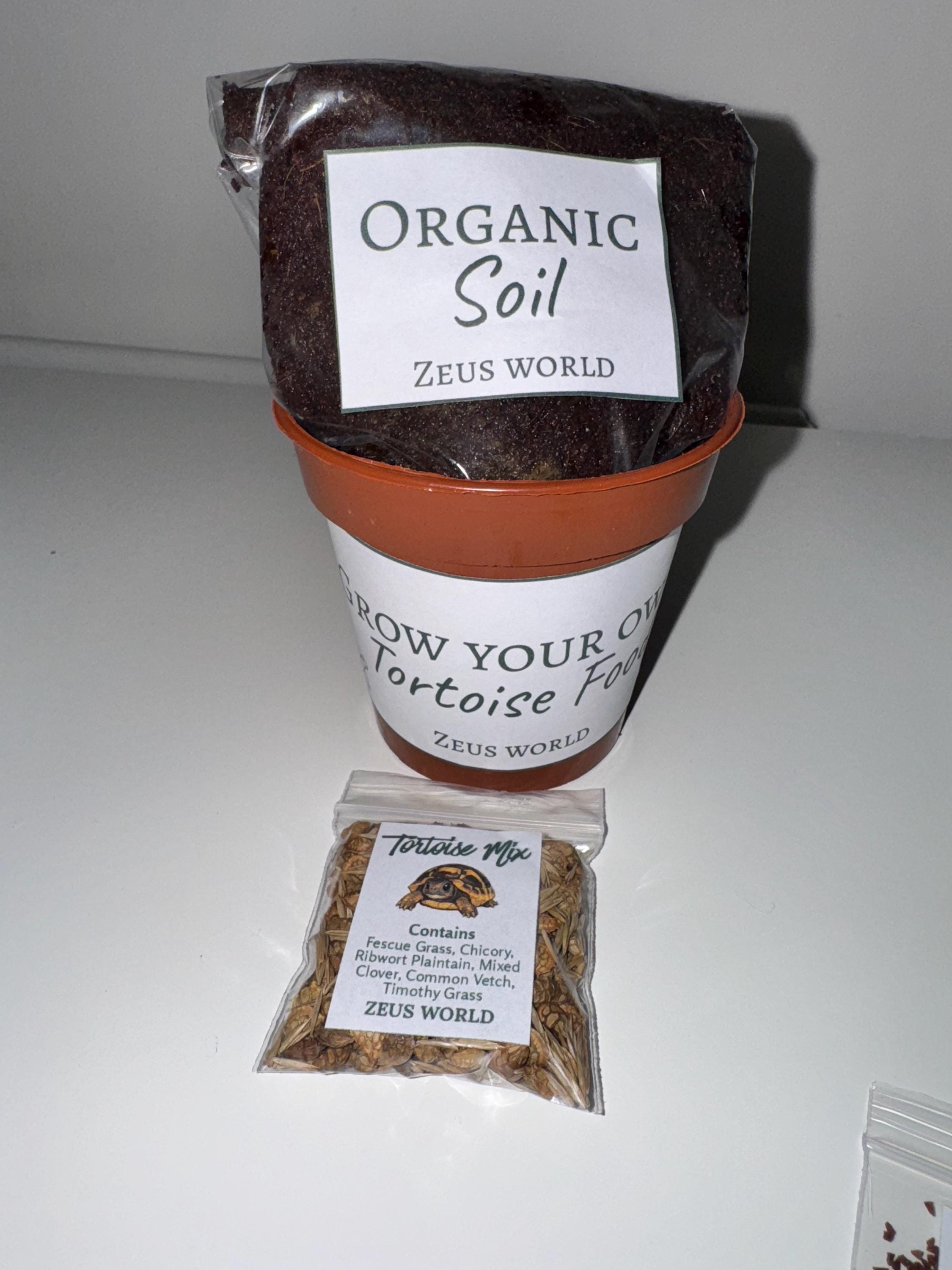 Tortoise Mix | Grow Your Own Tortoise Food Kit | Tortoise Safe Seeds & Organic Soil | Natural Grazing Kit