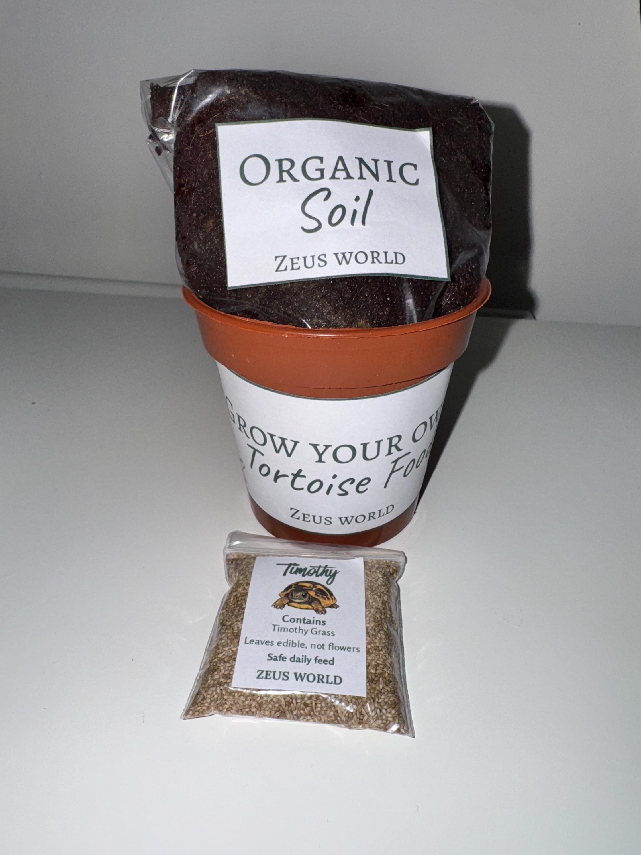 Timothy | Grow Your Own Tortoise Food Kit | Tortoise Seeds & Organic Soil | Natural Grazing Kit