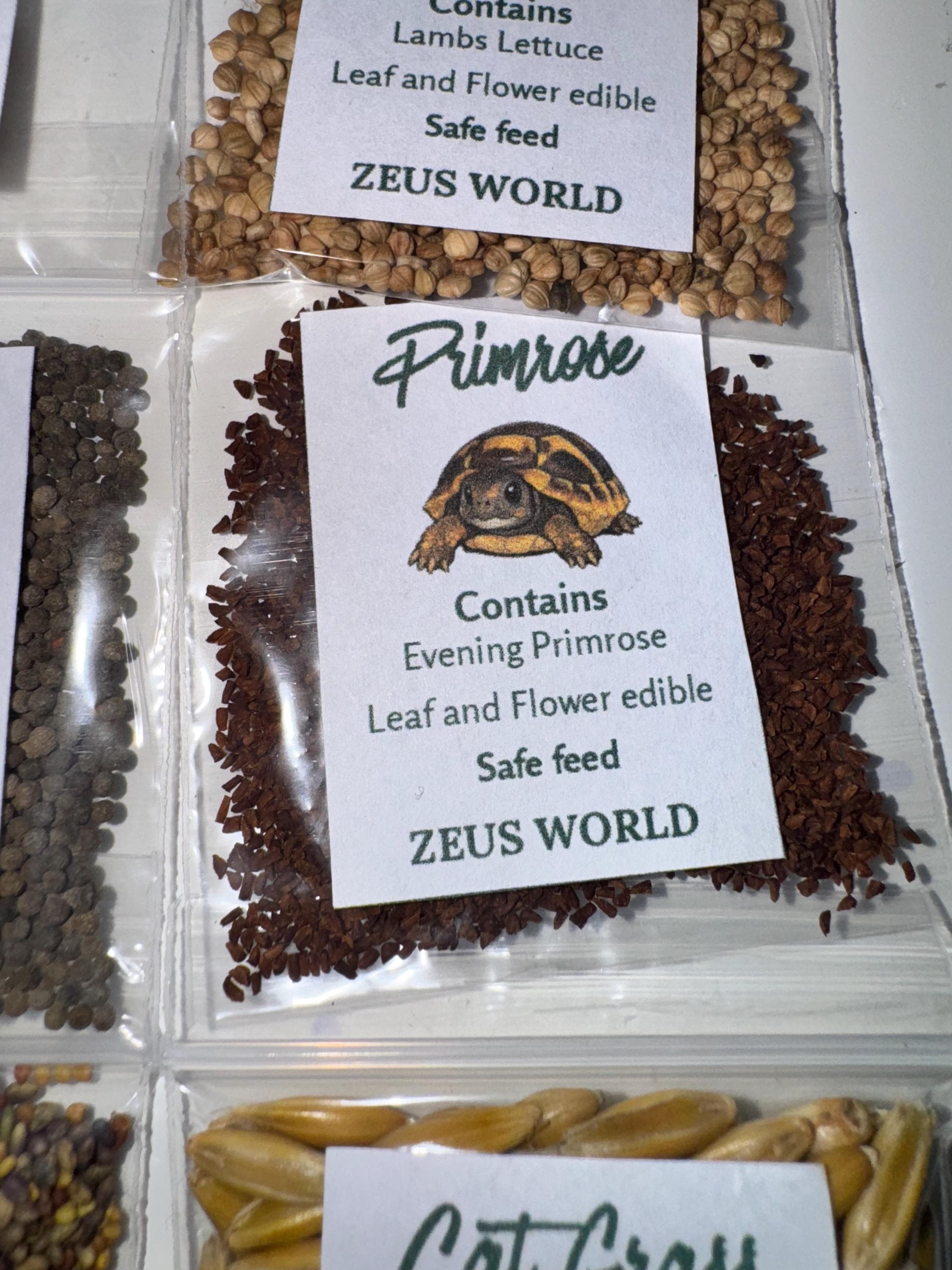 Primrose | Grow Your Own Tortoise Food Kit Pot | Tortoise Seeds & Organic Soil