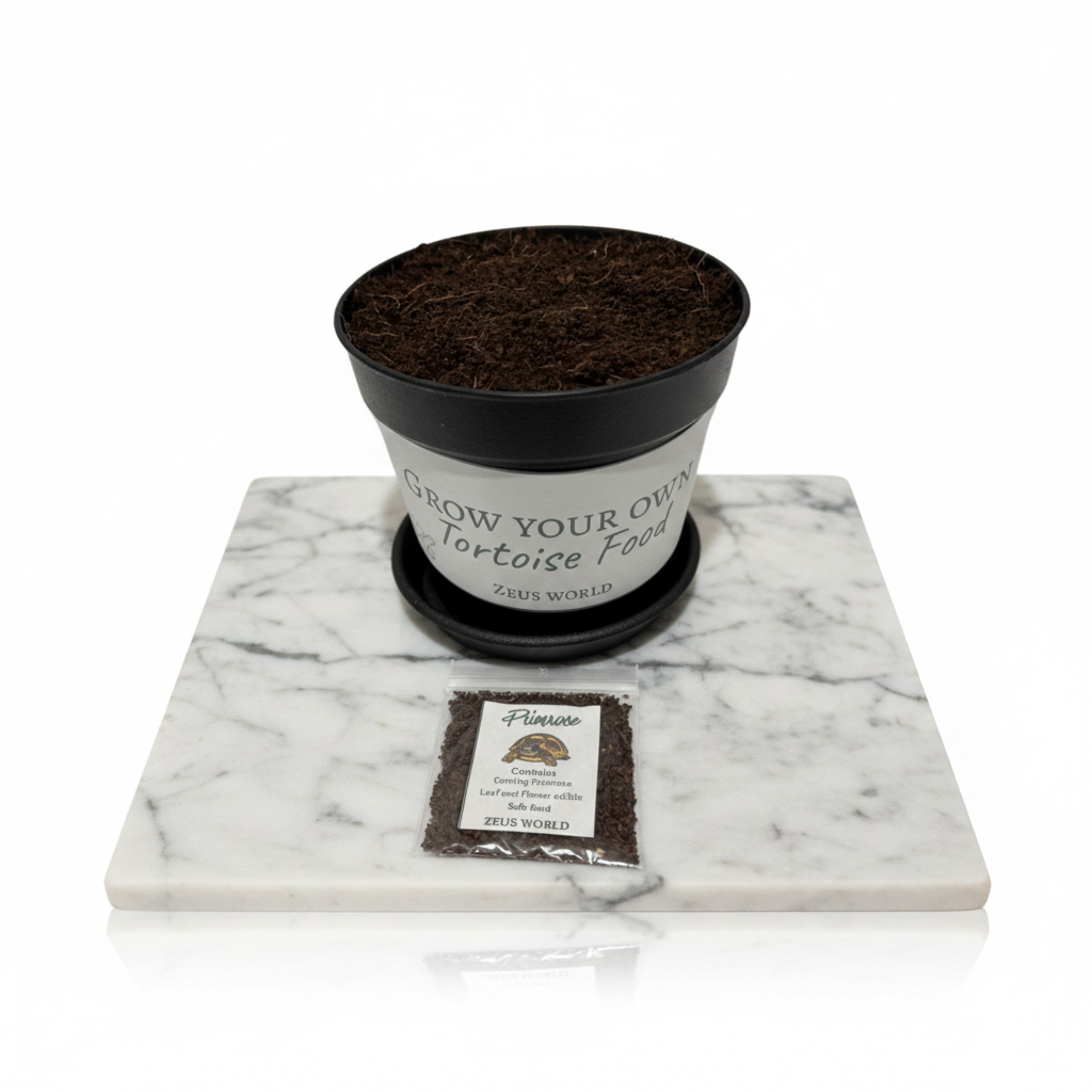 Primrose | Grow Your Own Tortoise Food Kit Pot | Tortoise Seeds & Organic Soil
