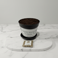 Dandelion | Grow Your Own Tortoise Food Kit | Tortoise Plantain Seeds & Organic Soil | Natural Grazing Kit