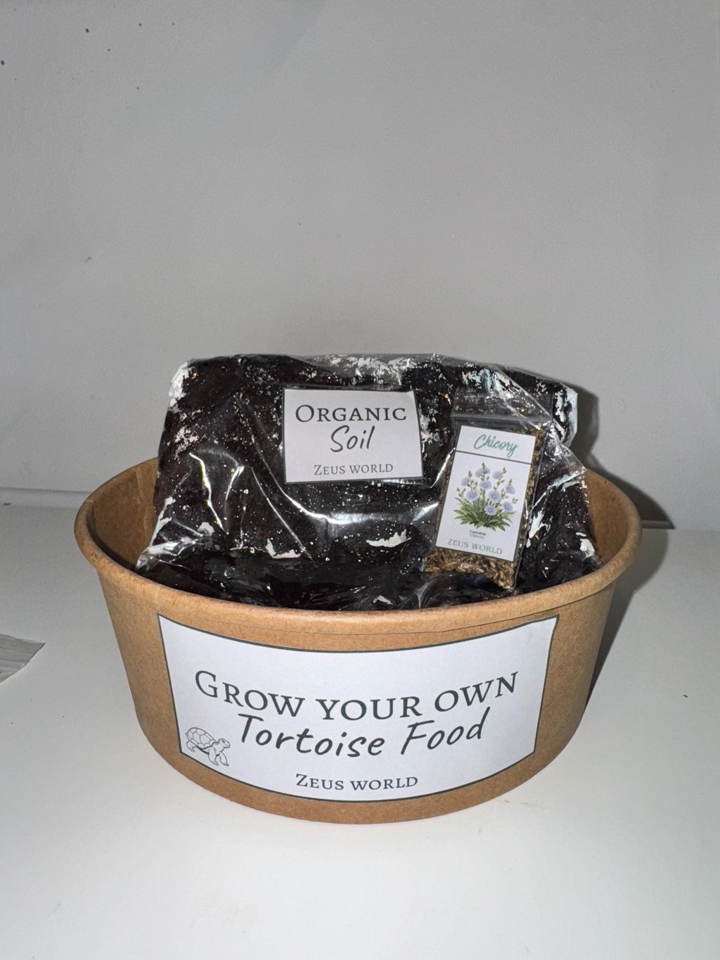 Chicory | Grow Your Own Tortoise Food Kit | Tortoise Seeds & Organic Soil | Natural Grazing Kit