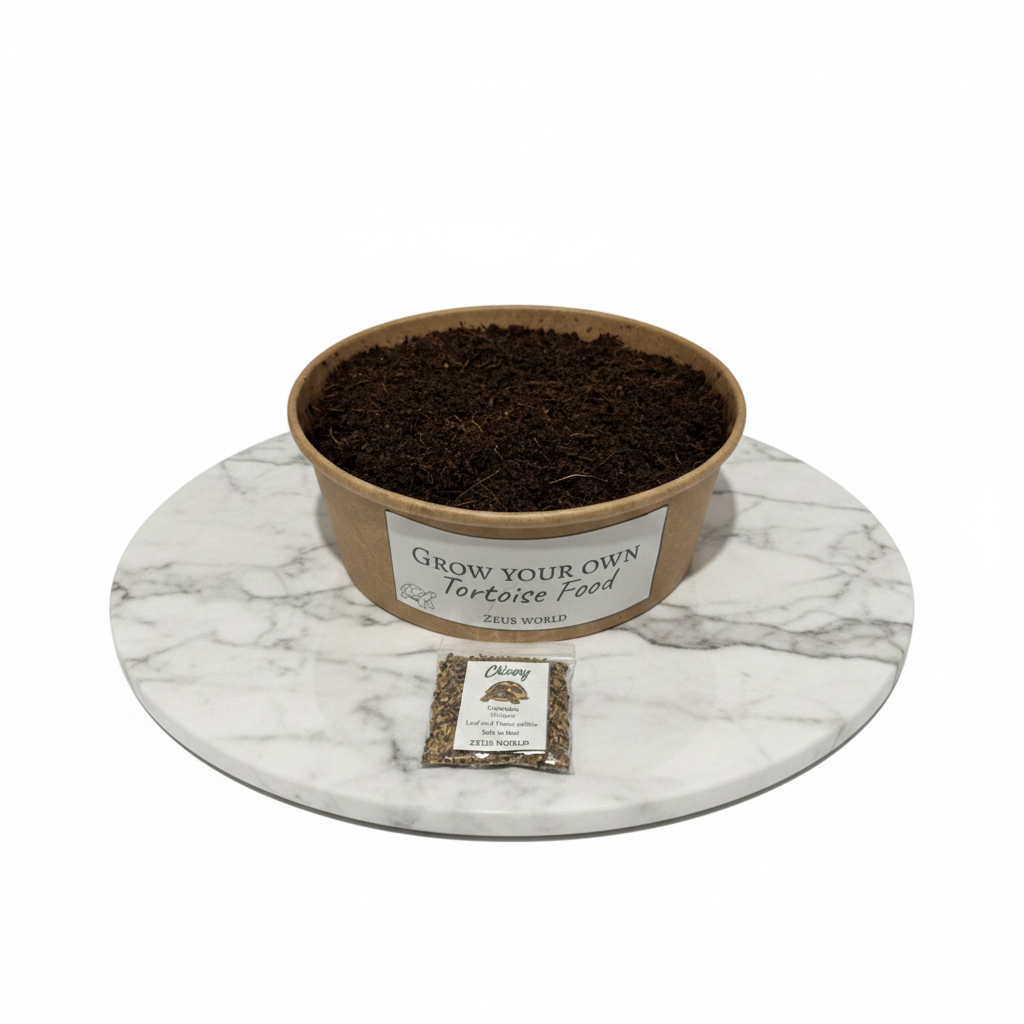 Chicory | Grow Your Own Tortoise Food Kit | Tortoise Seeds & Organic Soil | Natural Grazing Kit