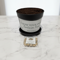 Nasturtium | Grow Your Own Tortoise Food Kit Pot | Tortoise Seeds & Organic Soil