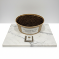 Mallow | Grow Your Own Tortoise Food Kit | Tortoise Seeds & Organic Soil | Natural Grazing Kit
