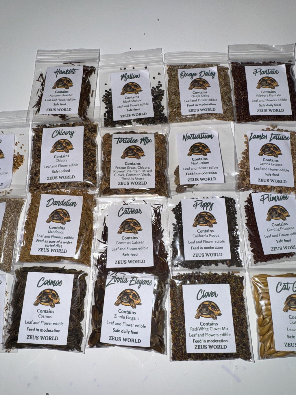 Plantain Seeds | Grow Your Own Tortoise Food | Tortoise Safe Seed Blend | Natural Reptile Diet