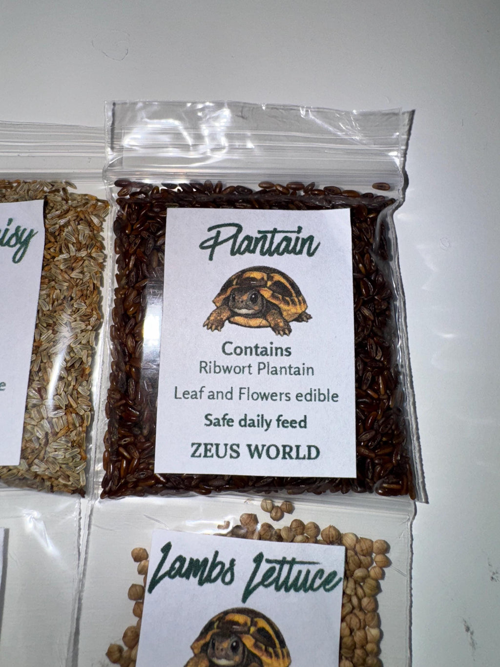 Plantain Seeds | Grow Your Own Tortoise Food | Tortoise Safe Seed Blend | Natural Reptile Diet