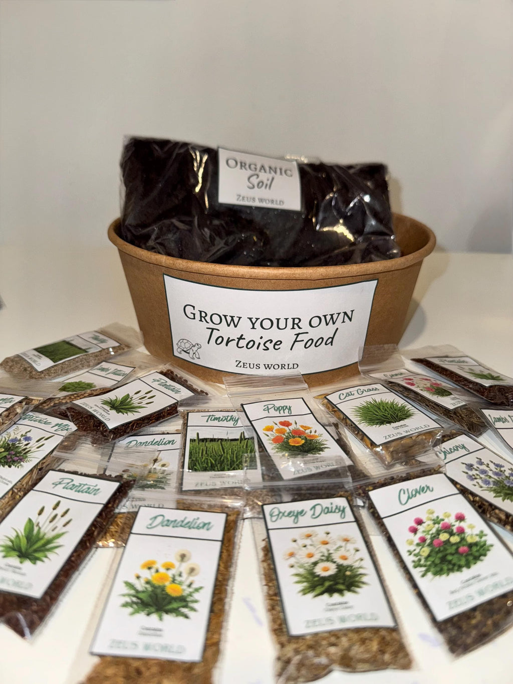 Chicory | Grow Your Own Tortoise Food Kit | Tortoise Seeds & Organic Soil | Natural Grazing Kit