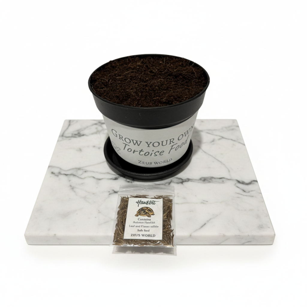 Hawkbit  | Grow Your Own Tortoise Food Kit | Tortoise Seeds & Organic Soil | Natural Grazing Kit