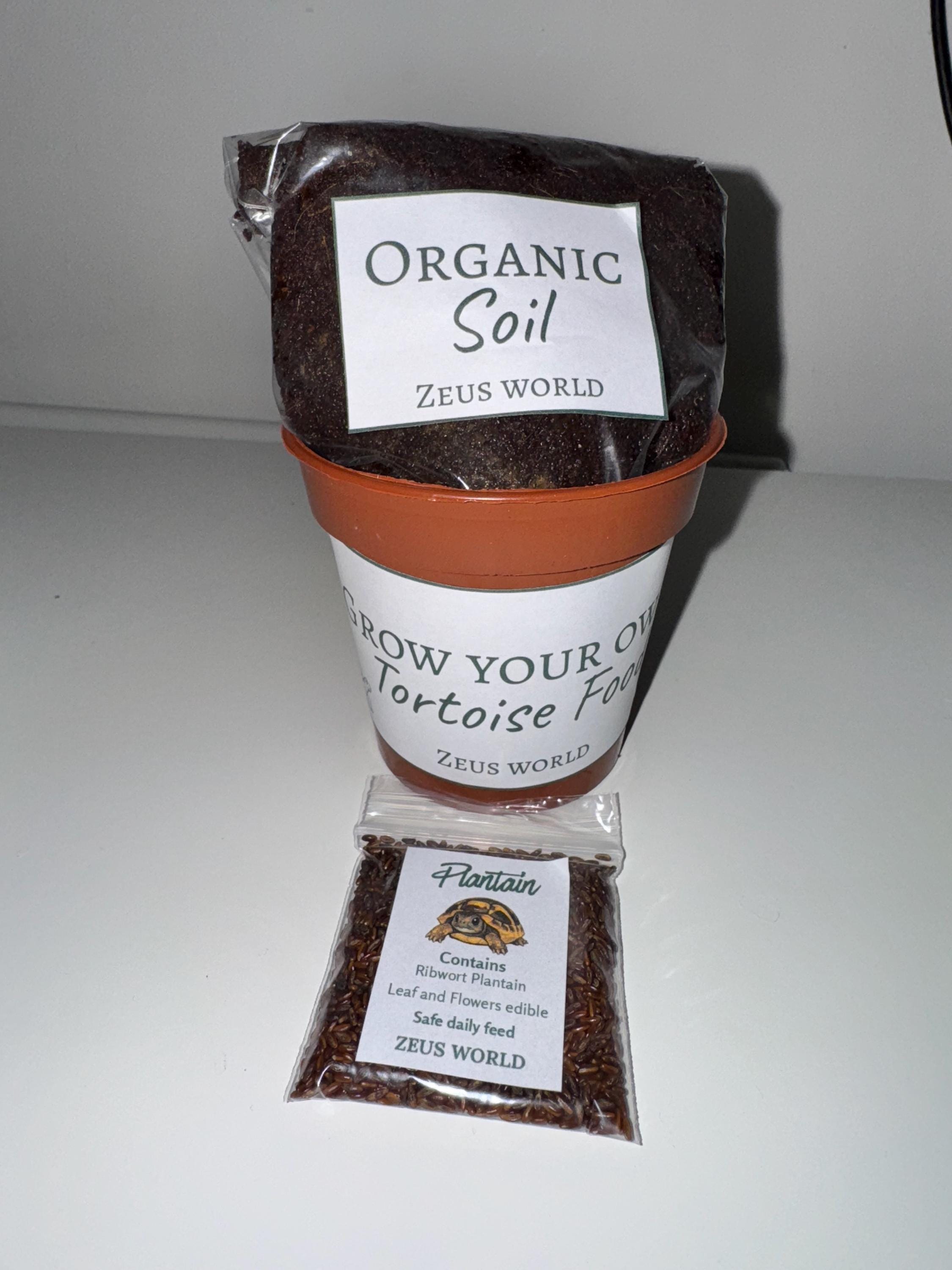 Plantain | Grow Your Own Tortoise Food Kit | Tortoise Plantain Seeds & Organic Soil | Natural Grazing Kit