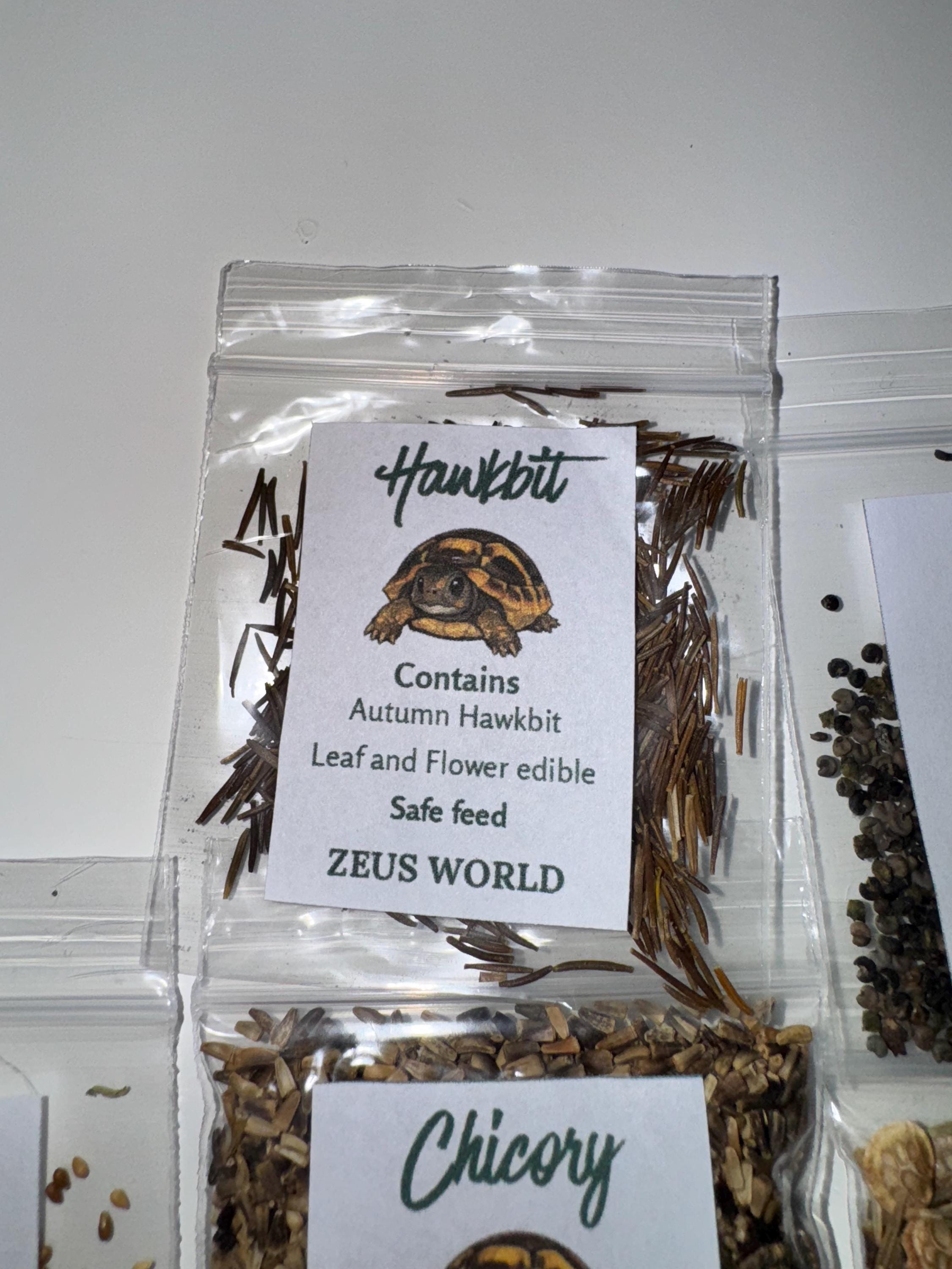 Hawkbit  | Grow Your Own Tortoise Food Kit | Tortoise Seeds & Organic Soil | Natural Grazing Kit