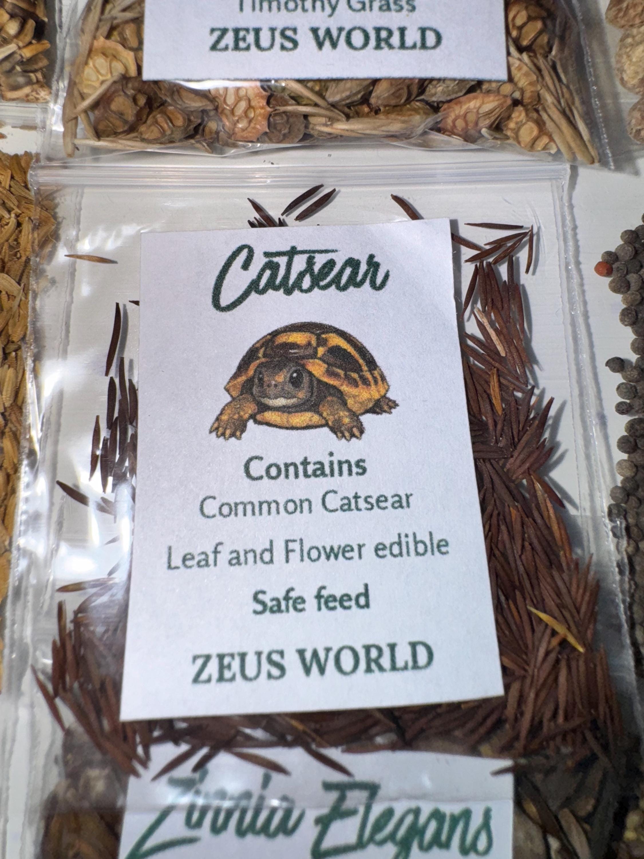 Catsear | Grow Your Own Tortoise Food Kit Pot | Tortoise Seeds & Organic Soil | Natural Grazing Kit