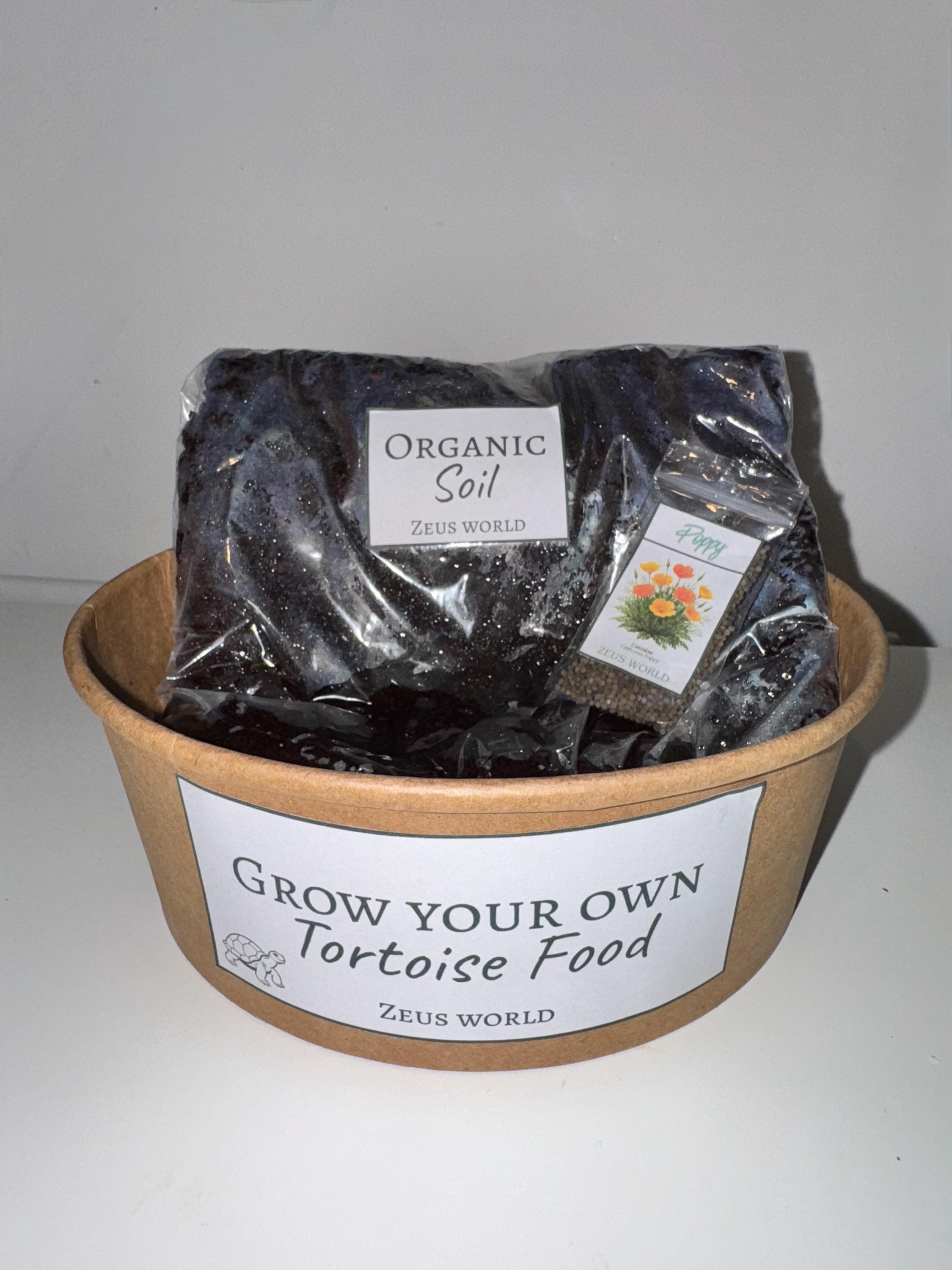 California Poppy | Grow Your Own Tortoise Food Kit | Tortoise Seeds & Organic Soil | Natural Grazing Kit