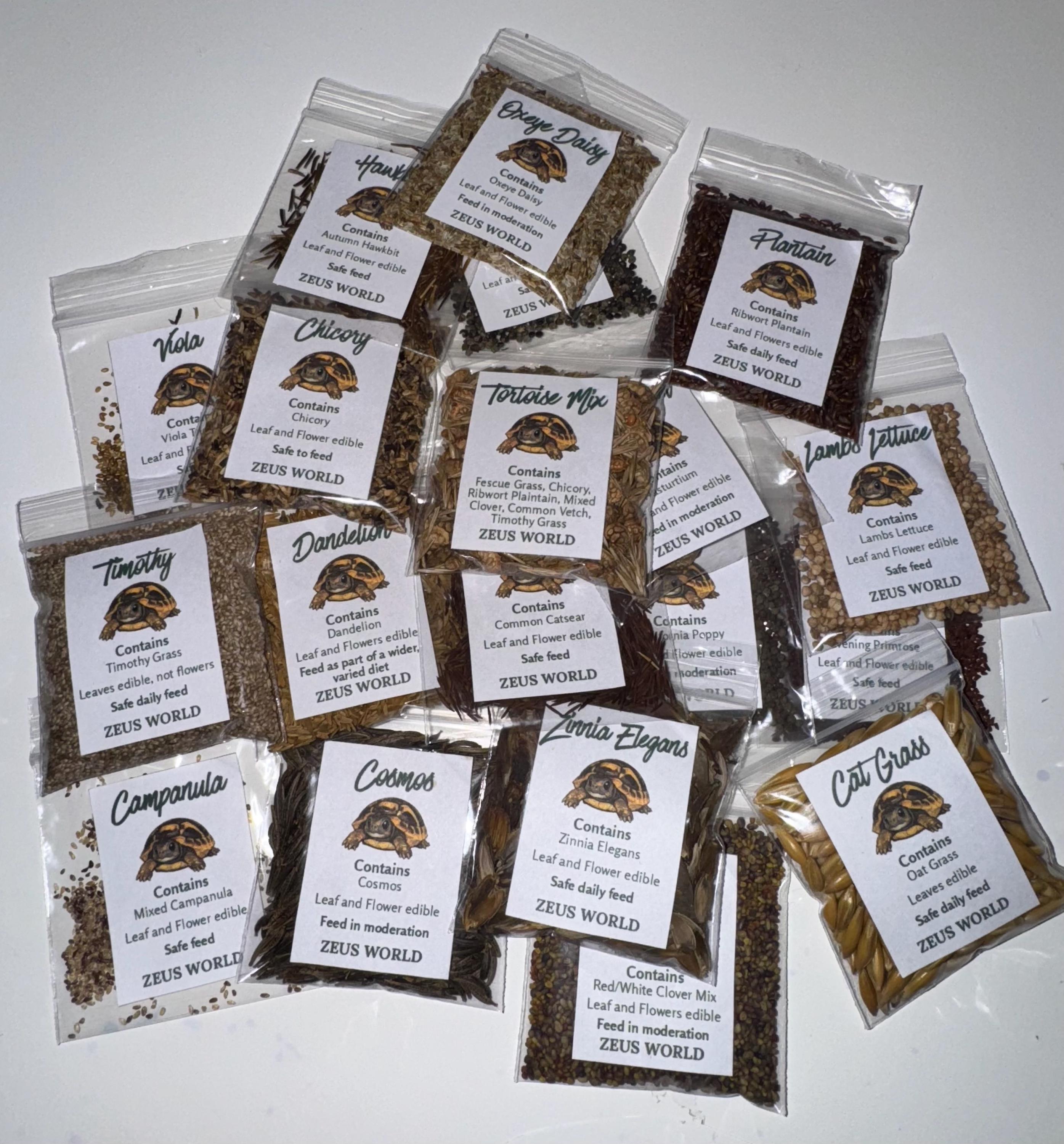 Lambs Lettuce | Grow Your Own Tortoise Food Kit | Tortoise Seeds & Organic Soil | Natural Grazing Kit