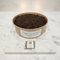 Zinnia Elegans | Grow Your Own Tortoise Food Kit | Tortoise Seeds & Organic Soil | Natural Grazing Kit