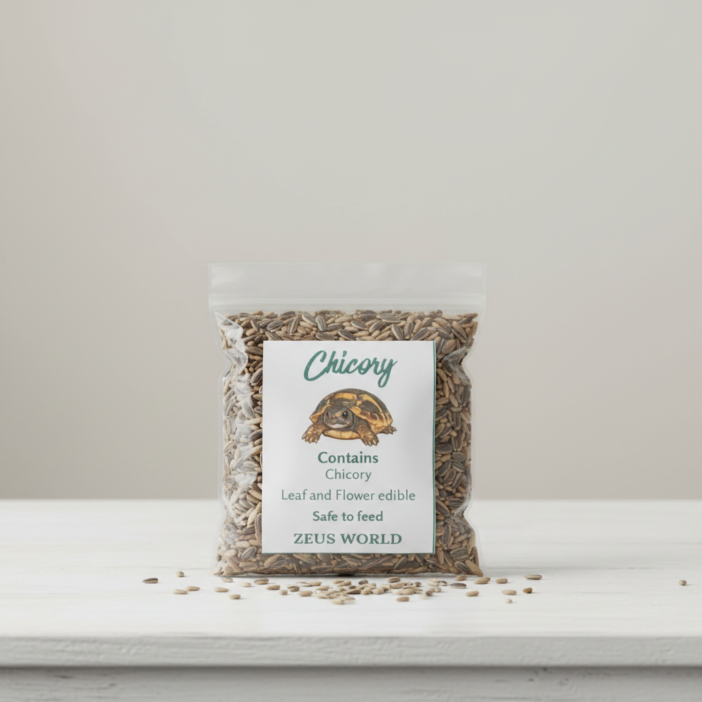 Chicory Seeds | Grow Your Own Tortoise Food | Tortoise Safe Seed Blend | Natural Reptile Diet