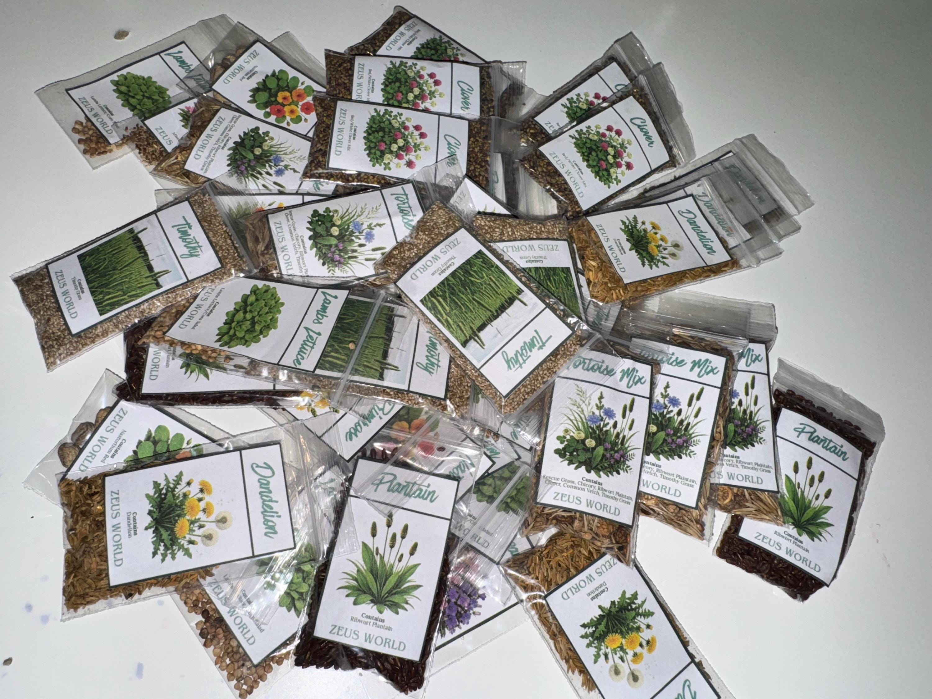 tortoise plant seeds California Poppy Seeds | Grow Your Own Tortoise Food