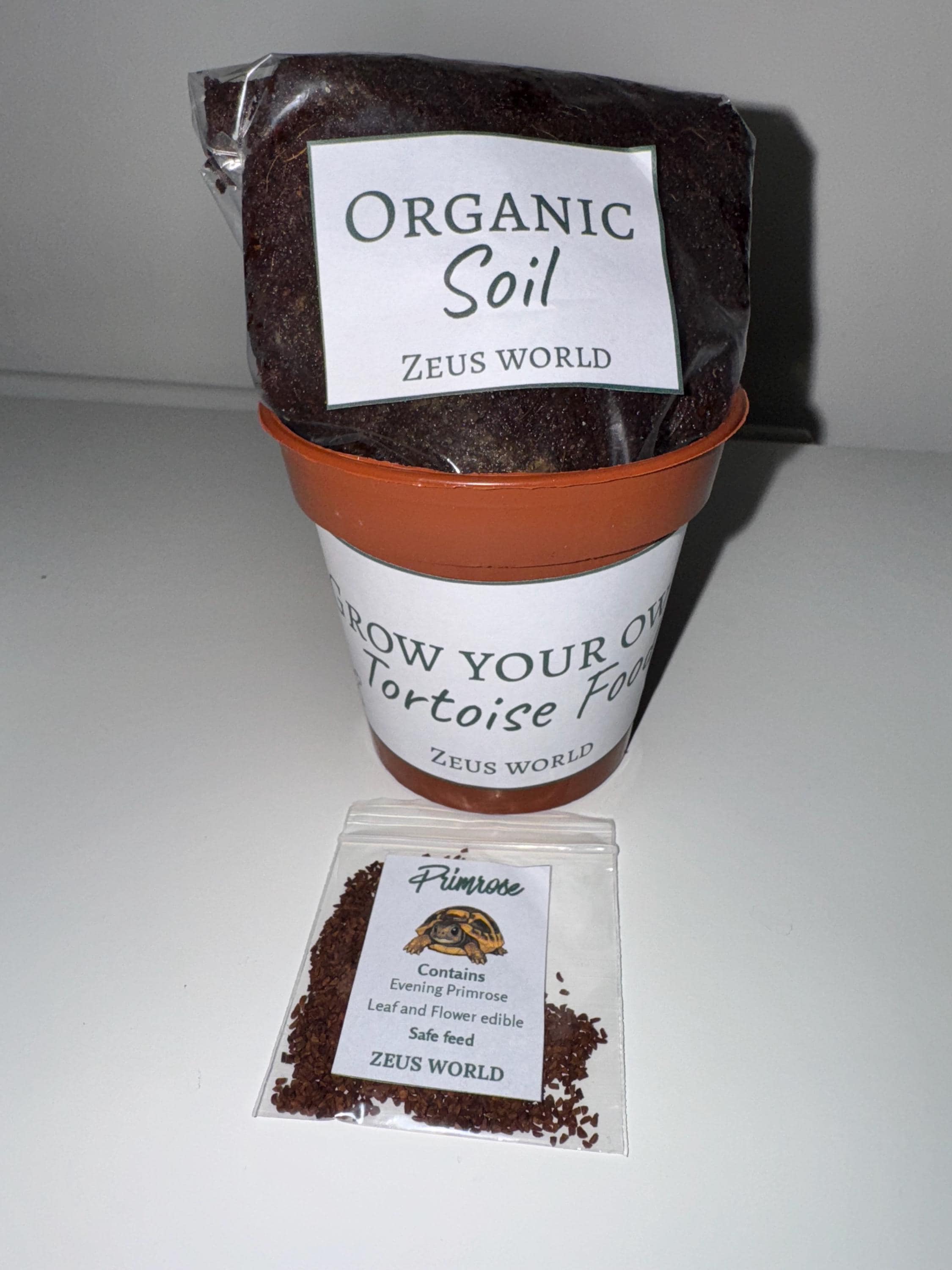Primrose | Grow Your Own Tortoise Food Kit Pot | Tortoise Seeds & Organic Soil