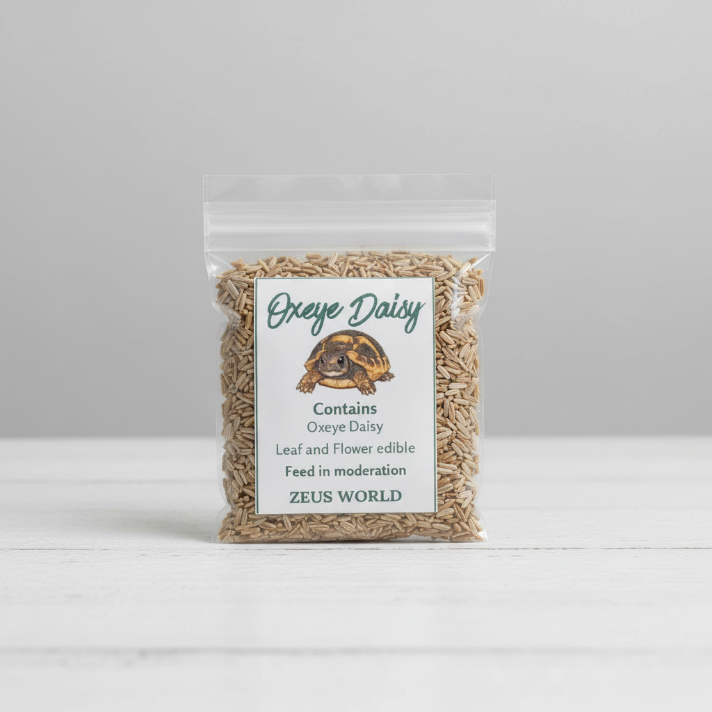 Oxeye Daisy Seeds | Grow Your Own Tortoise Food | Tortoise Safe Seed Blend | Natural Reptile Diet