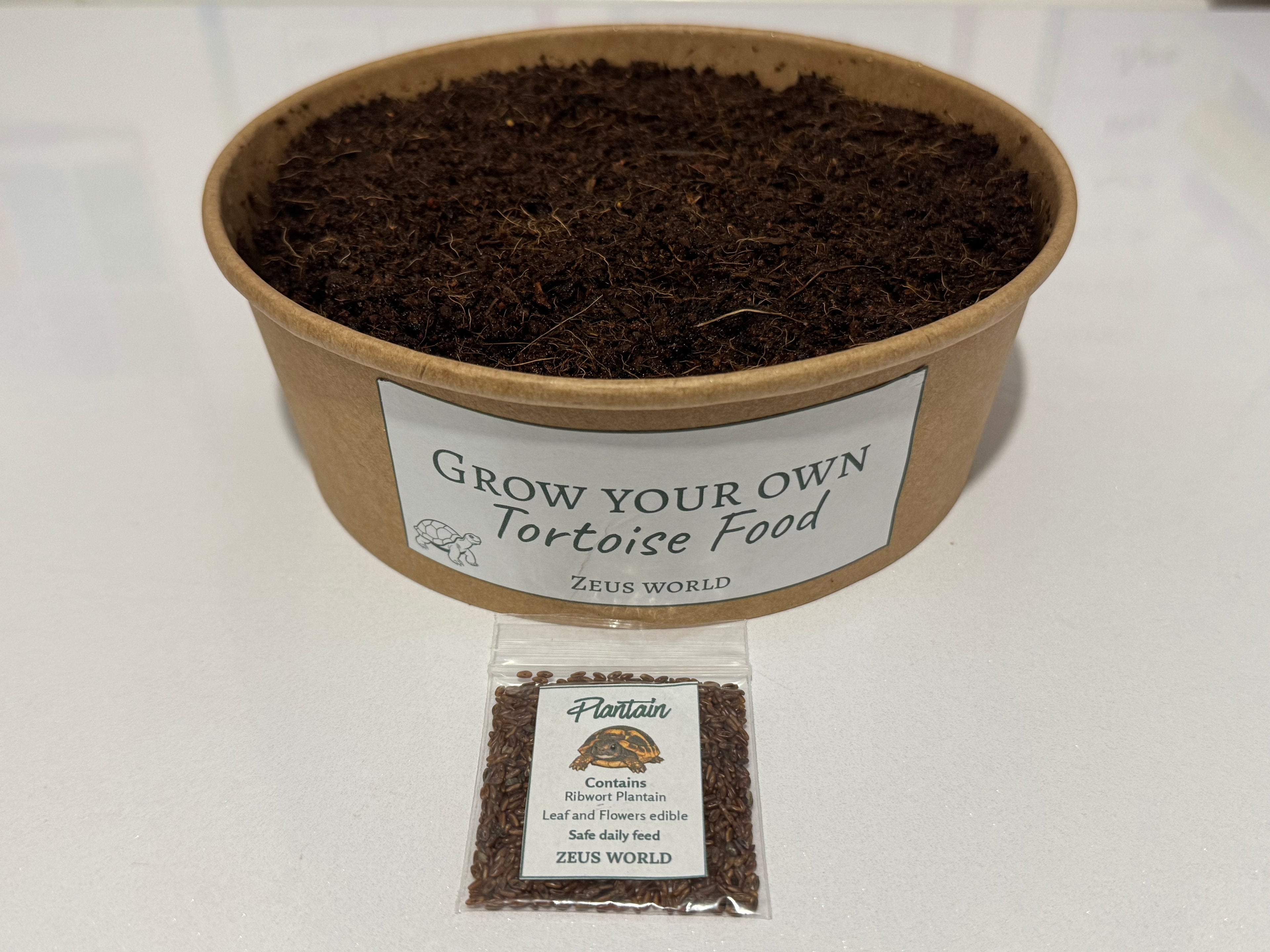 Plantain | Grow Your Own Tortoise Food Kit | Tortoise Plantain Seeds & Organic Soil | Natural Grazing Kit