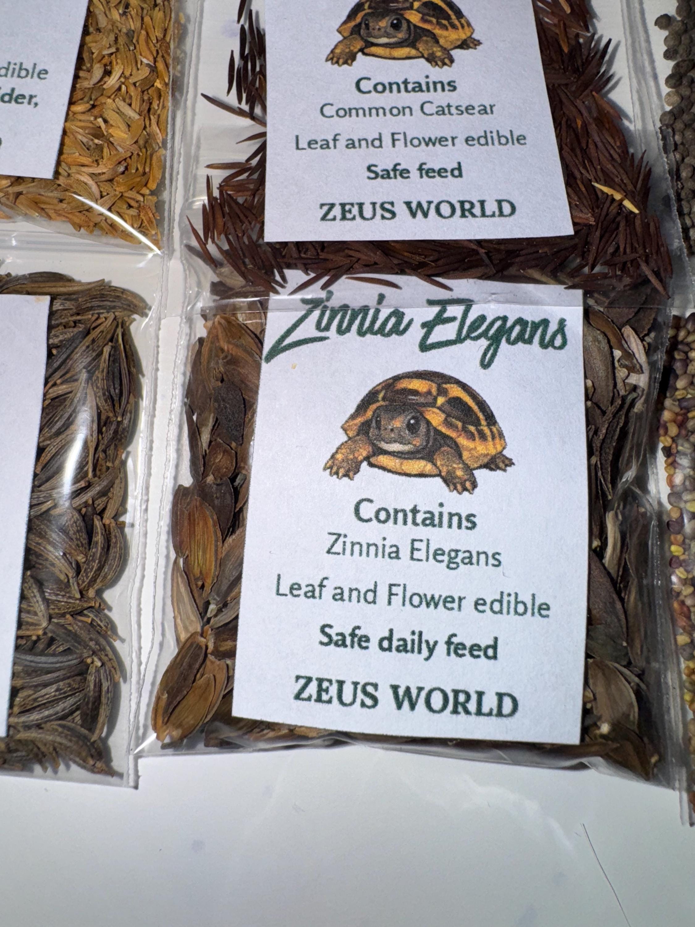 Zinnia Elegans | Grow Your Own Tortoise Food Kit | Tortoise Seeds & Organic Soil | Natural Grazing Kit