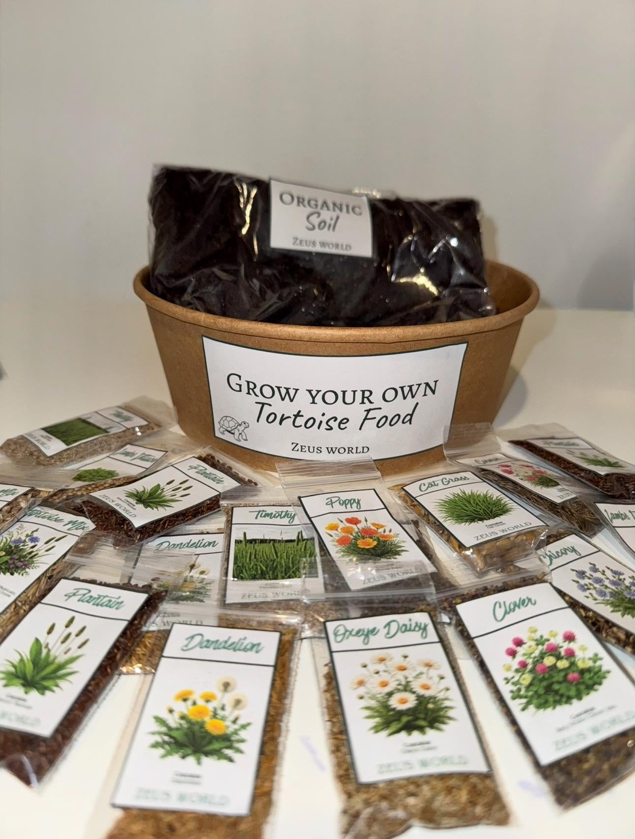 Lambs Lettuce | Grow Your Own Tortoise Food Kit | Tortoise Seeds & Organic Soil | Natural Grazing Kit