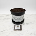 Catsear | Grow Your Own Tortoise Food Kit Pot | Tortoise Seeds & Organic Soil | Natural Grazing Kit