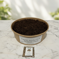 Chicory | Grow Your Own Tortoise Food Kit | Tortoise Seeds & Organic Soil | Natural Grazing Kit