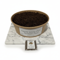 Catsear | Grow Your Own Tortoise Food Kit | Tortoise Seeds & Organic Soil | Natural Grazing Kit (Copy)