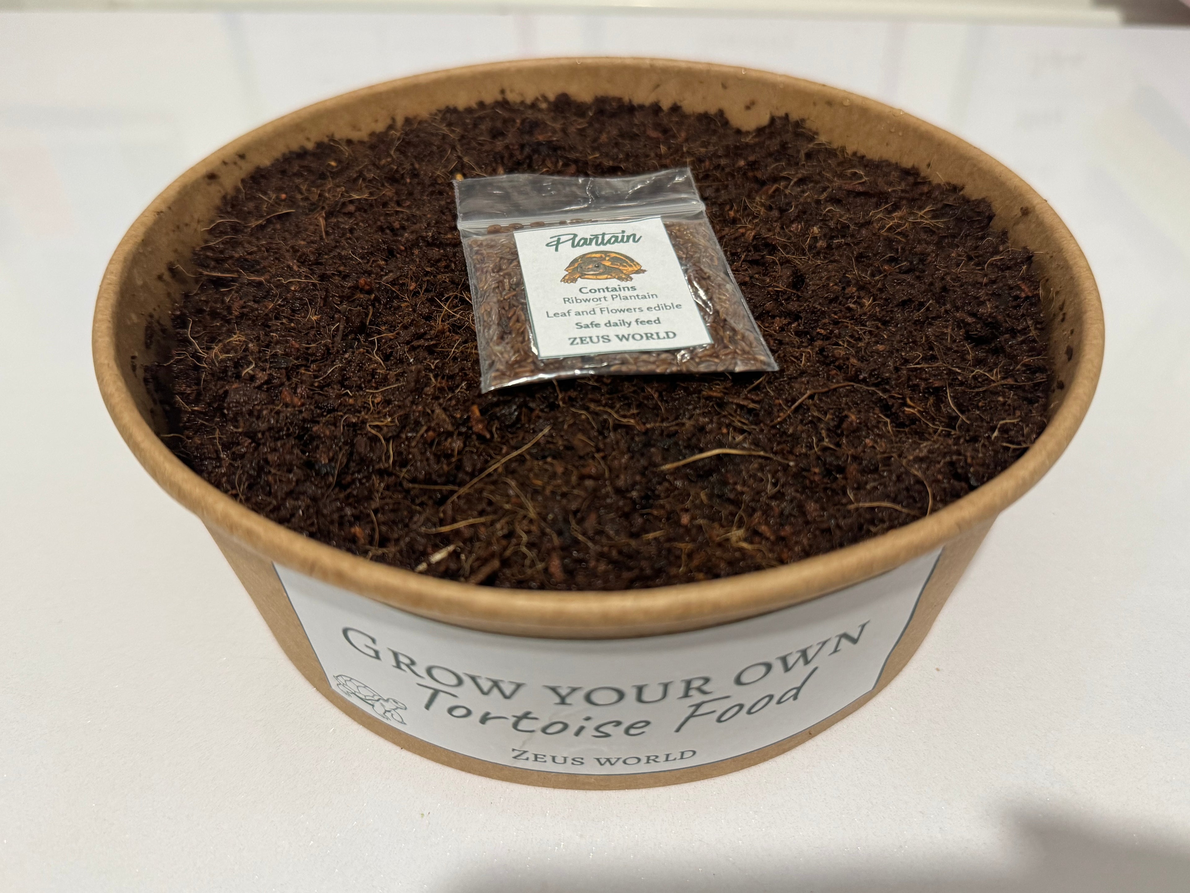 Plantain | Grow Your Own Tortoise Food Kit | Tortoise Plantain Seeds & Organic Soil | Natural Grazing Kit