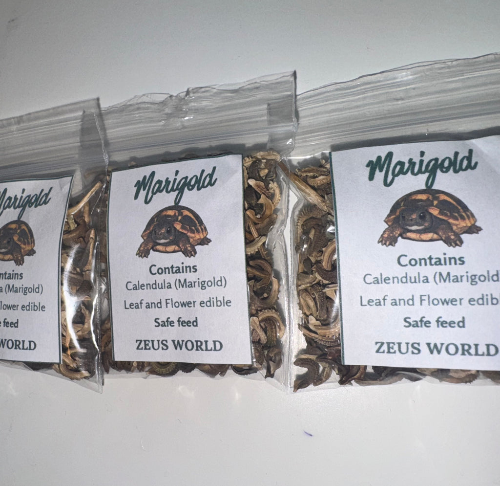 Marigold Seeds | Grow Your Own Tortoise Food | Tortoise Safe Seed Blend | Natural Reptile Diet