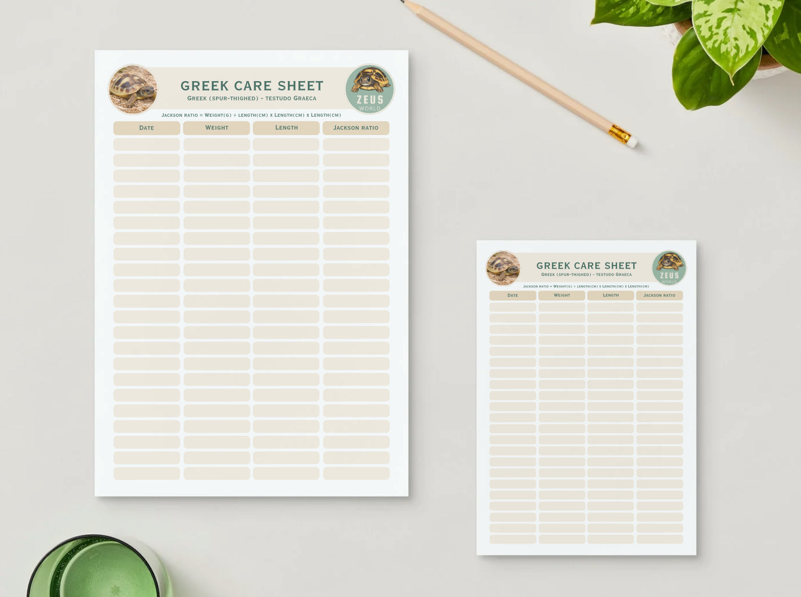 Greek Spur-Thighed Tortoise Weight, Length and Jackson Ratio Tracker (Printable PDF)