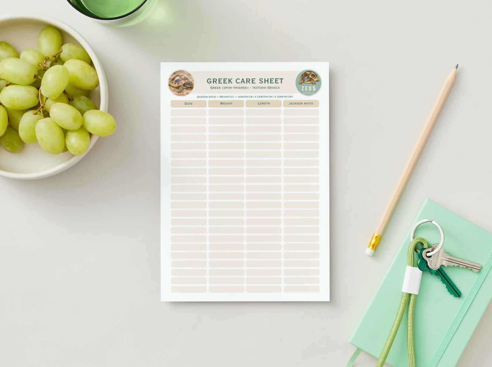 Greek Spur-Thighed Tortoise Weight, Length and Jackson Ratio Tracker (Printable PDF)