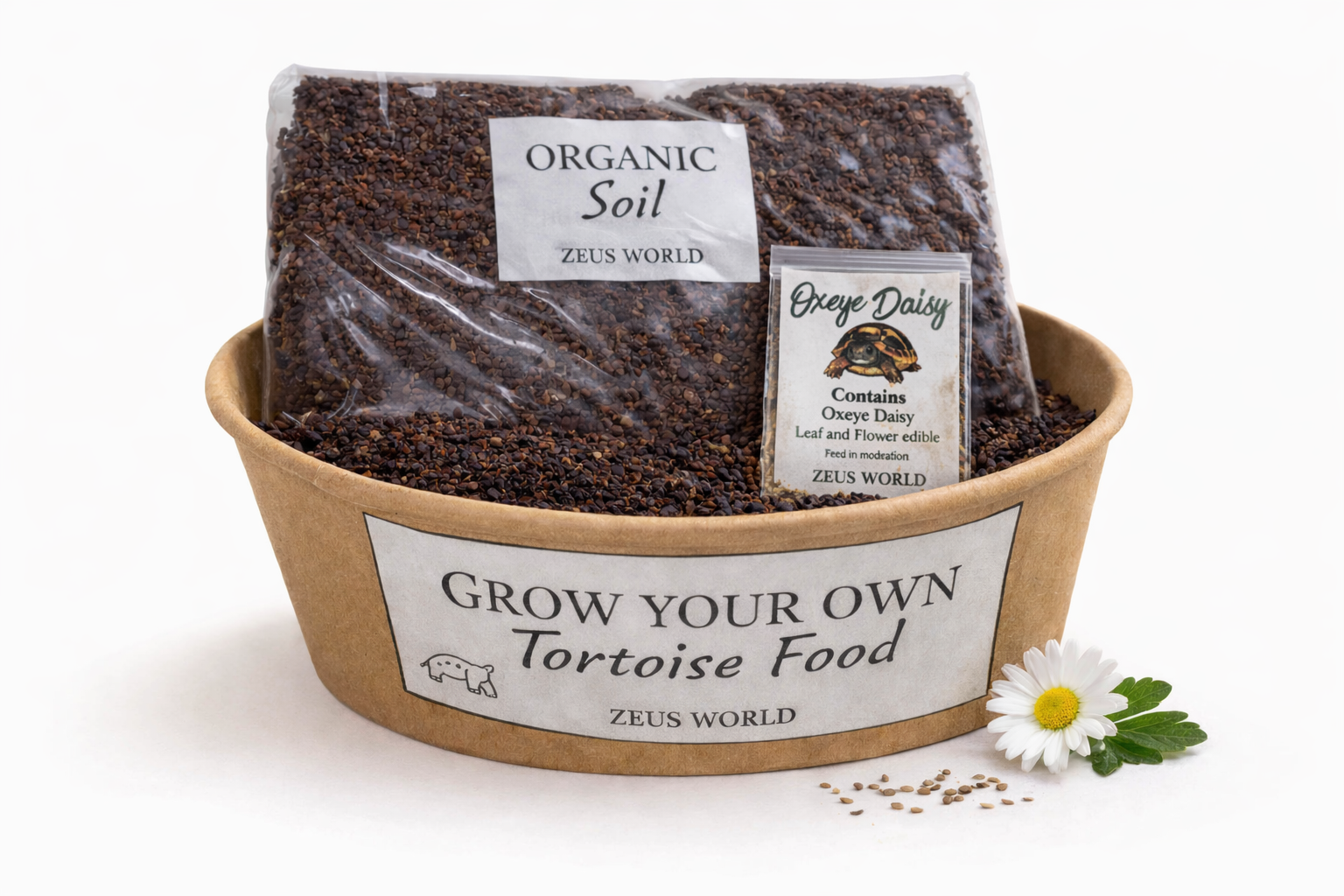 Oxeye Daisy | Grow Your Own Tortoise Food Kit | Tortoise Seeds & Organic Soil | Natural Grazing Kit