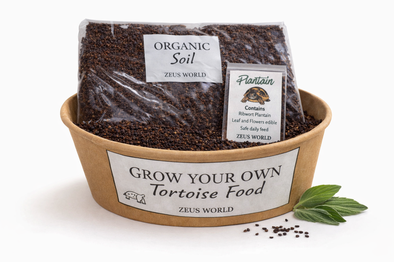 Plantain | Grow Your Own Tortoise Food Kit | Tortoise Plantain Seeds & Organic Soil | Natural Grazing Kit