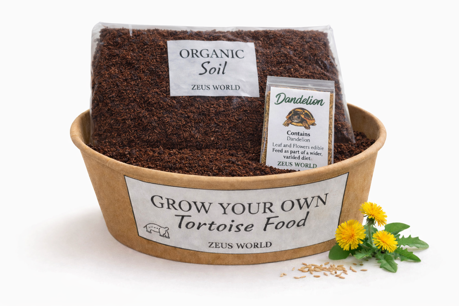 Dandelion | Grow Your Own Tortoise Food Kit | Tortoise Plantain Seeds & Organic Soil | Natural Grazing Kit