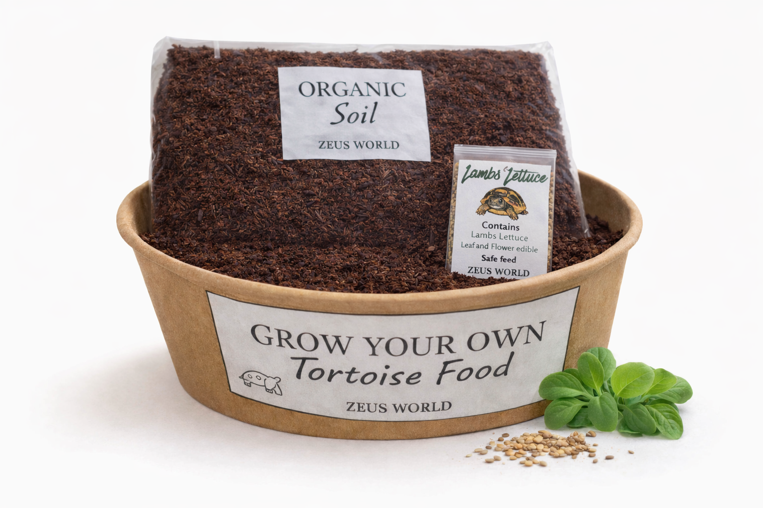 Lambs Lettuce | Grow Your Own Tortoise Food Kit | Tortoise Seeds & Organic Soil | Natural Grazing Kit