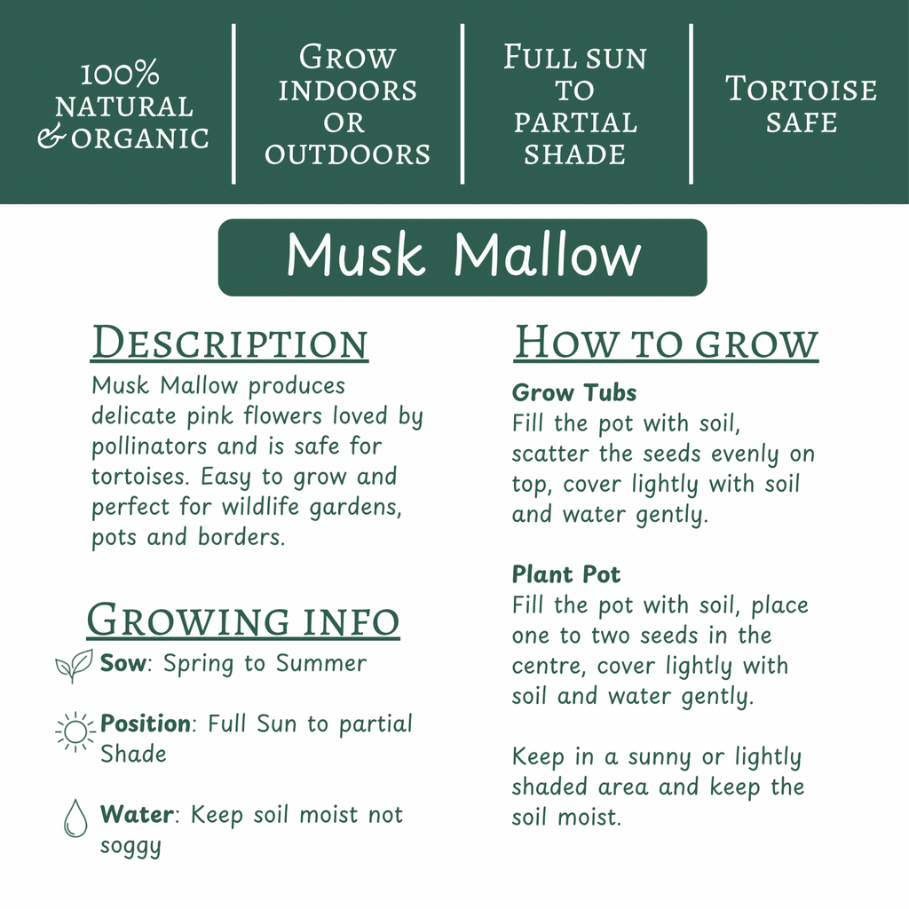 Mallow Seeds | Grow Your Own Tortoise Food | Tortoise Safe Seed Blend | Natural Reptile Diet
