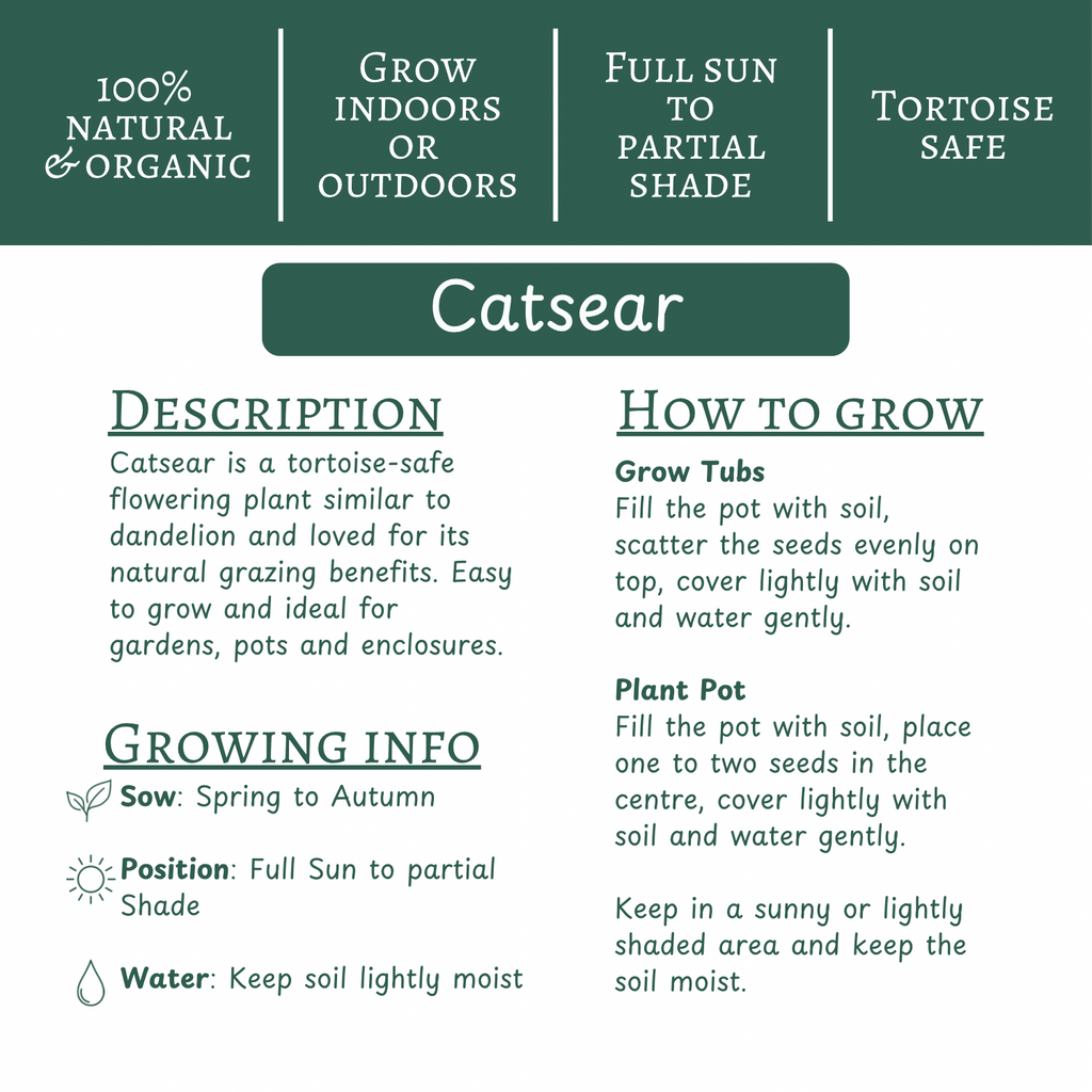 Catsear | Grow Your Own Tortoise Food Kit | Tortoise Seeds & Organic Soil | Natural Grazing Kit (Copy)