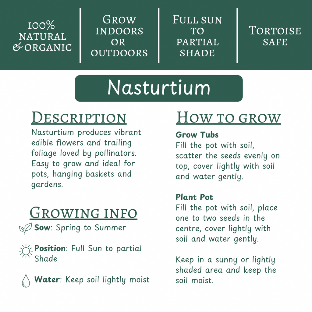 Nasturtium | Grow Your Own Tortoise Food Kit | Tortoise Seeds & Organic Soil | Natural Grazing Kit (Copy) (Copy)