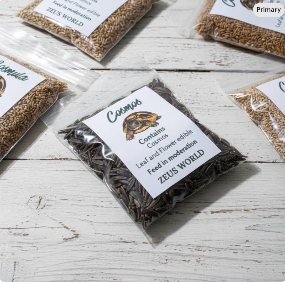 Cosmos Seeds | Grow Your Own Tortoise Food | Tortoise Safe Seed Blend | Natural Reptile Diet