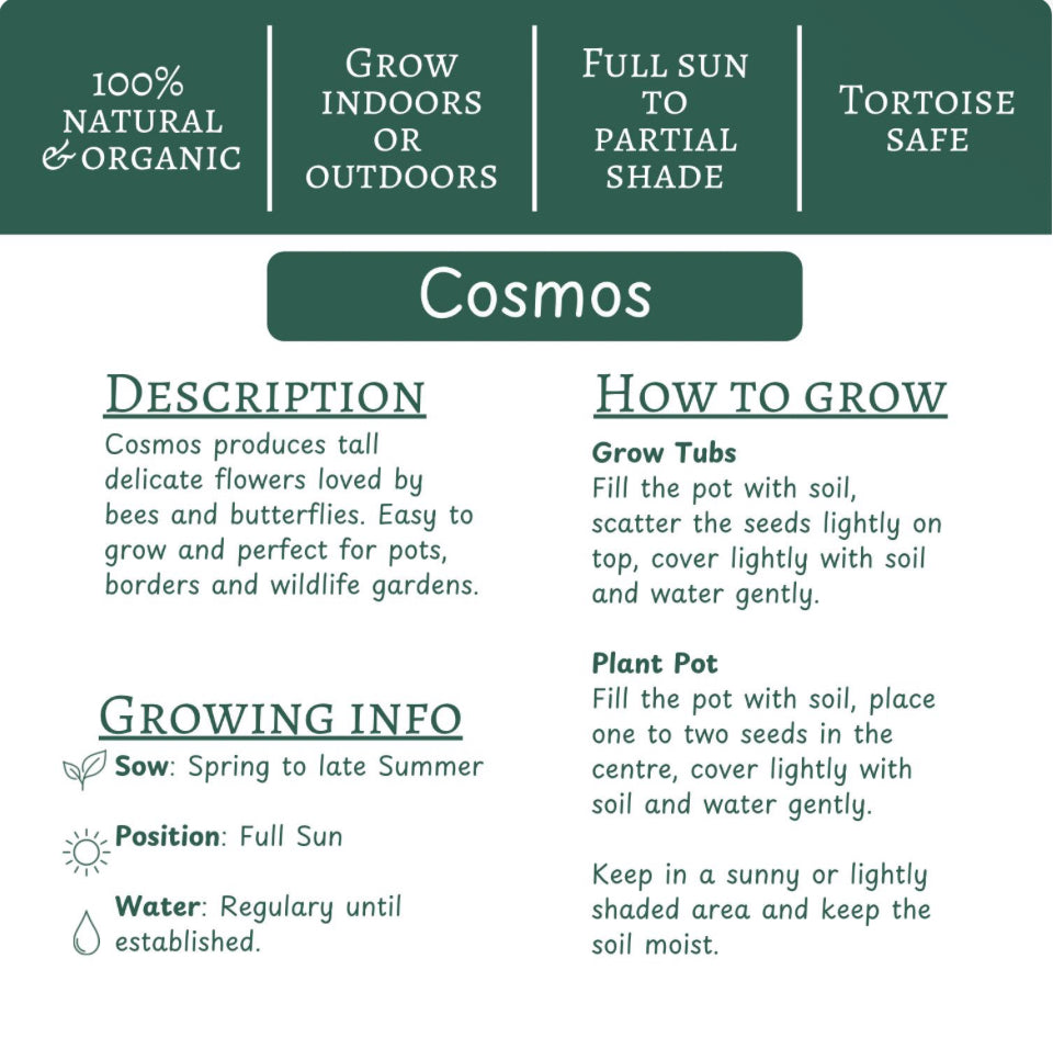 Cosmos Seeds | Grow Your Own Tortoise Food | Tortoise Safe Seed Blend | Natural Reptile Diet